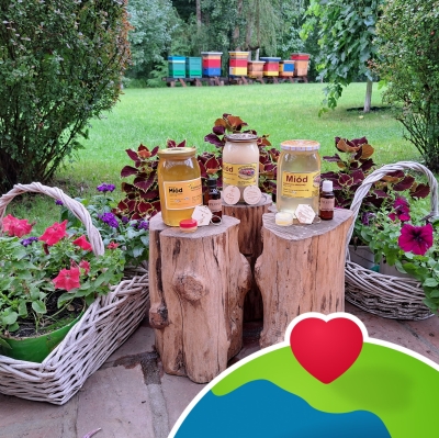 Pasieka Bajon Miody Zagórzańskie, powiat zielonogórski