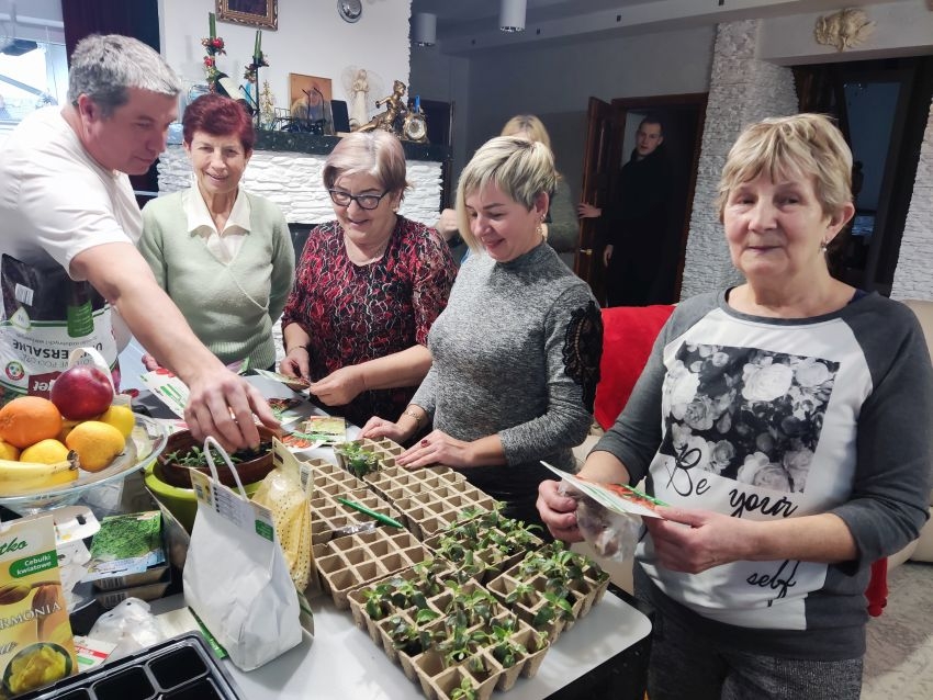 Sadzonki kwiatów w Nowym Żabnie