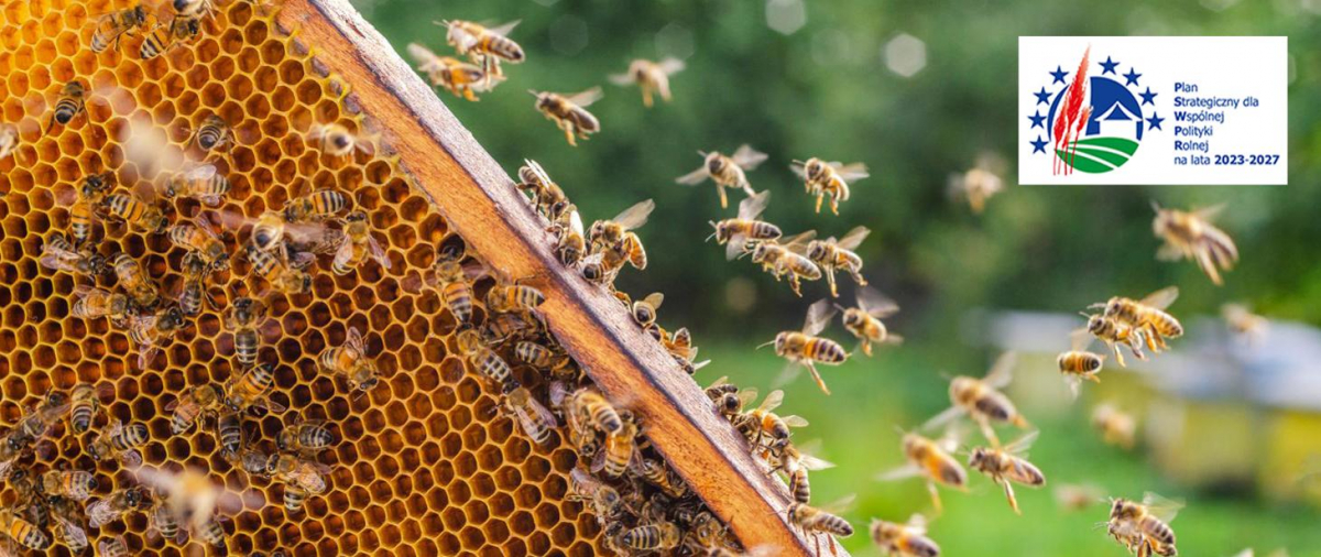 UWAGA wydłużony termin do 24 kwietnia 2023 r. na przyjmowanie wniosków o przyznanie pomocy w ramach interwencji pszczelarskich