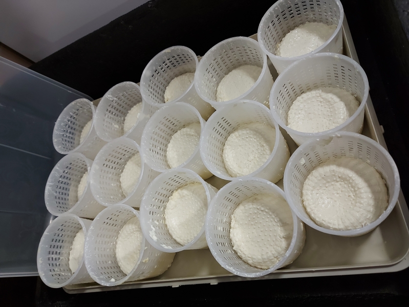 Cykl pokazów przetwórczych w formie warsztatów: wędliniarskie, serowarskie, piekarskie - listopad, grudzień 2025 r.