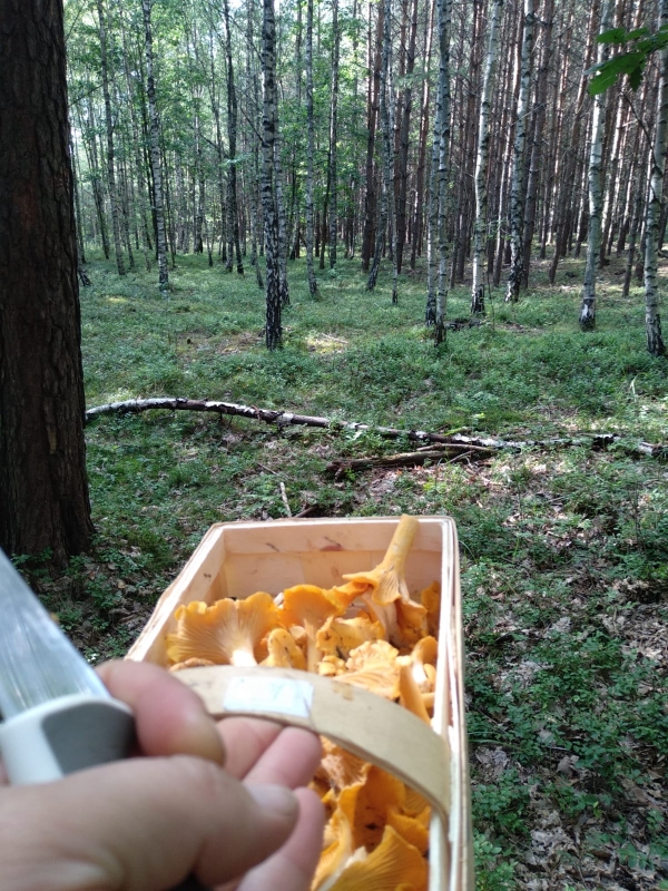 Gospodarstwo Agroturystyczne "Buchmila"