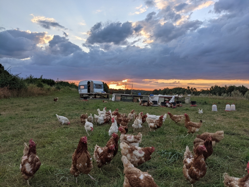 Gospodarstwo Agroturystyczne "Buchmila"
