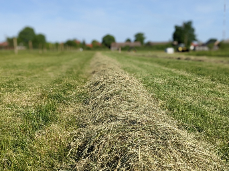 Gospodarstwo Agroturystyczne "Buchmila"