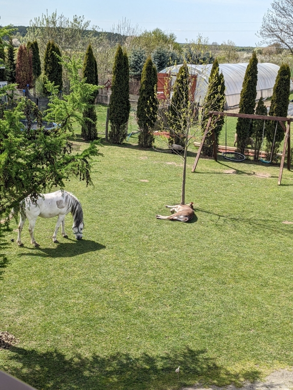 Gospodarstwo Agroturystyczne "Buchmila"