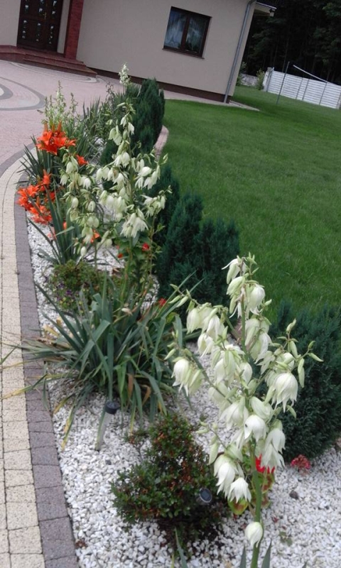 Gospodarstwo Agroturystyczne "Ela"