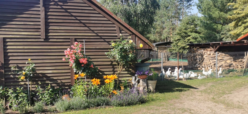 Gospodarstwo Agroturystyczne "Roma"
