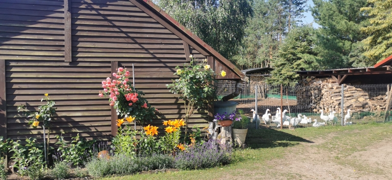 Gospodarstwo Agroturystyczne "Roma"
