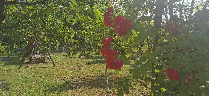 Gospodarstwo Agroturystyczne "Roma"