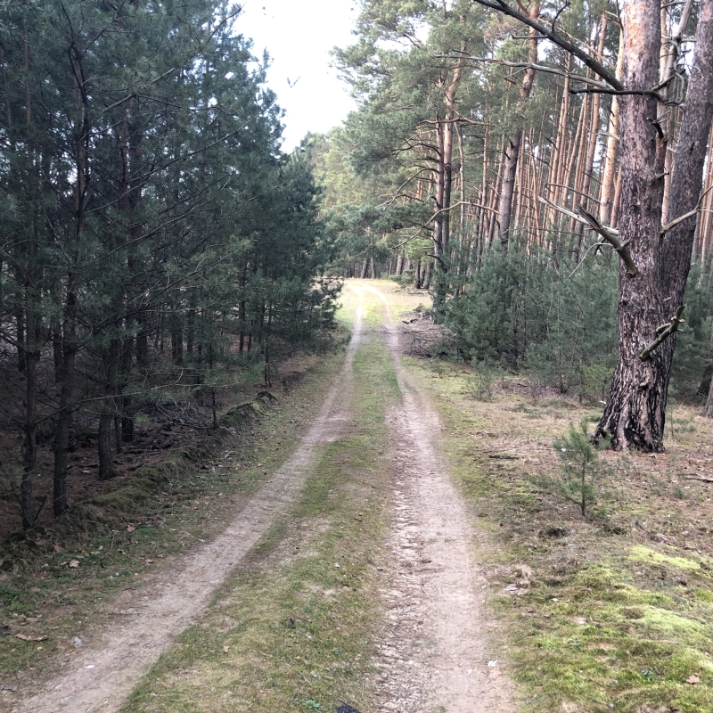 Gospodarstwo Agroturystyczne "Stara Szkoła Uście"
