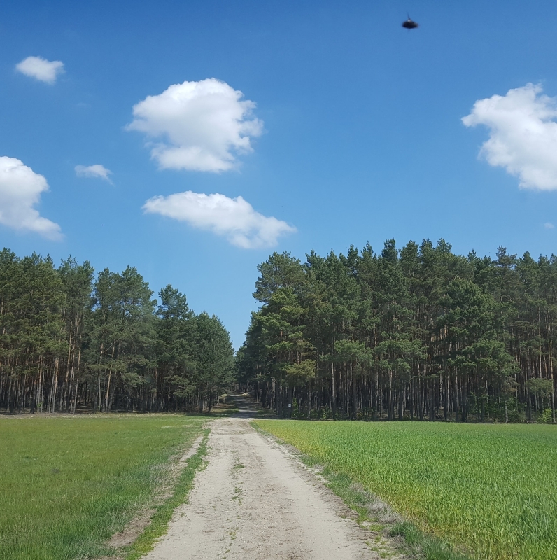 Gospodarstwo Agroturystyczne "Strużka"