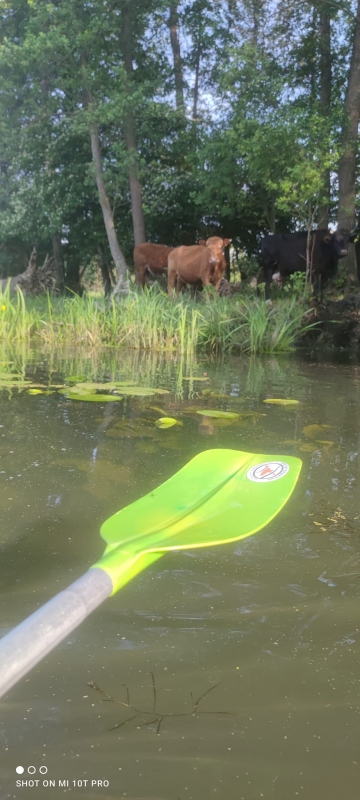 Gospodarstwo Agroturystyczne "Żurawisko"