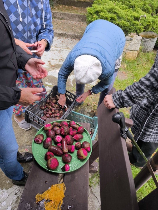 Żródło: Stowarzyszenie Przyjaciół Nowego Miasteczka