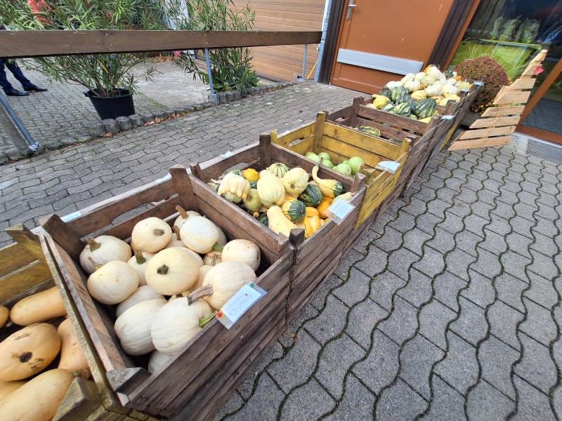 Innowacyjne rozwiązania dla rolnictwa - międzynarodowe Targi Rolnicze Agritechnica 2025 w Hanowerze