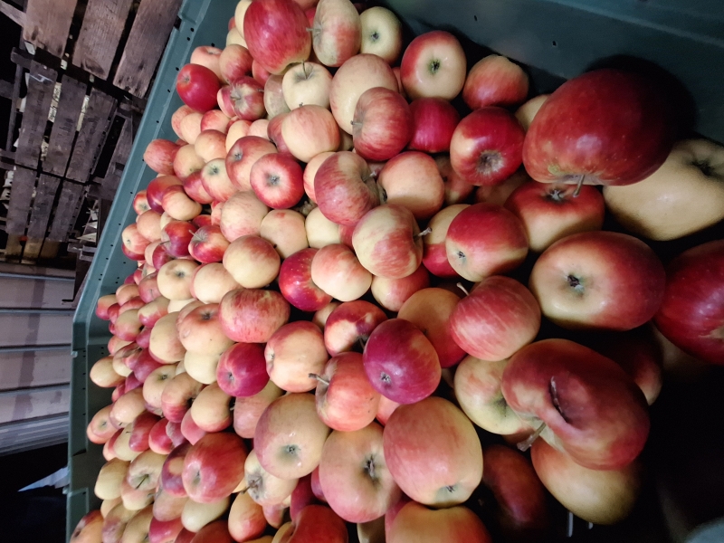 Innowacyjne rozwiązania dla rolnictwa - międzynarodowe Targi Rolnicze Agritechnica 2025 w Hanowerze