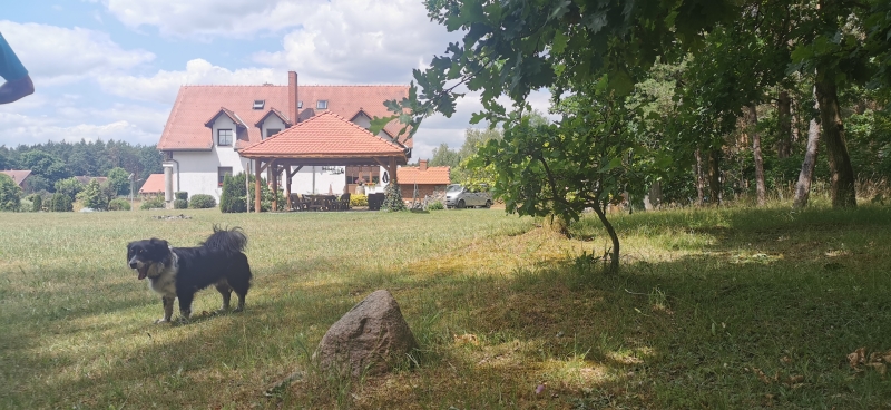 Najładniejsze gospodarstwo agroturystyczne województwa lubuskiego w 2023 roku - sylwetki uczestników
