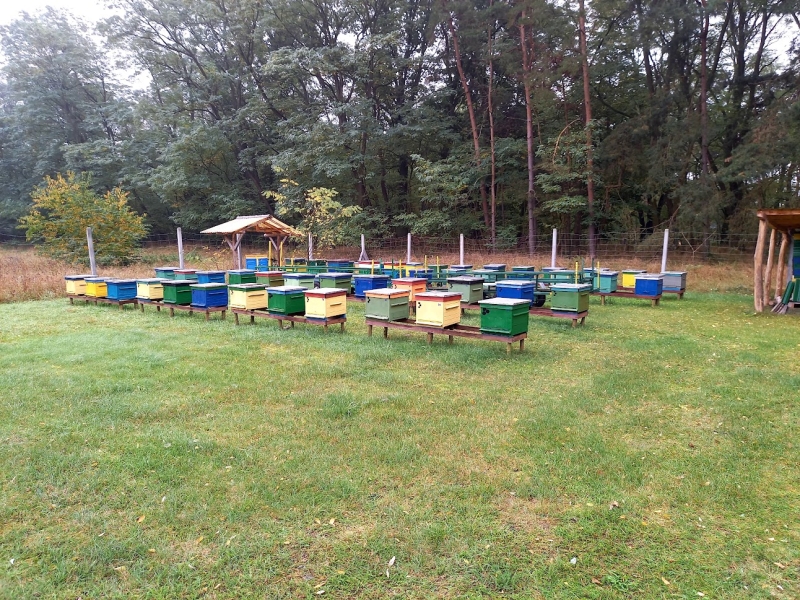 Pasieka DaCo, powiat zielonogórski