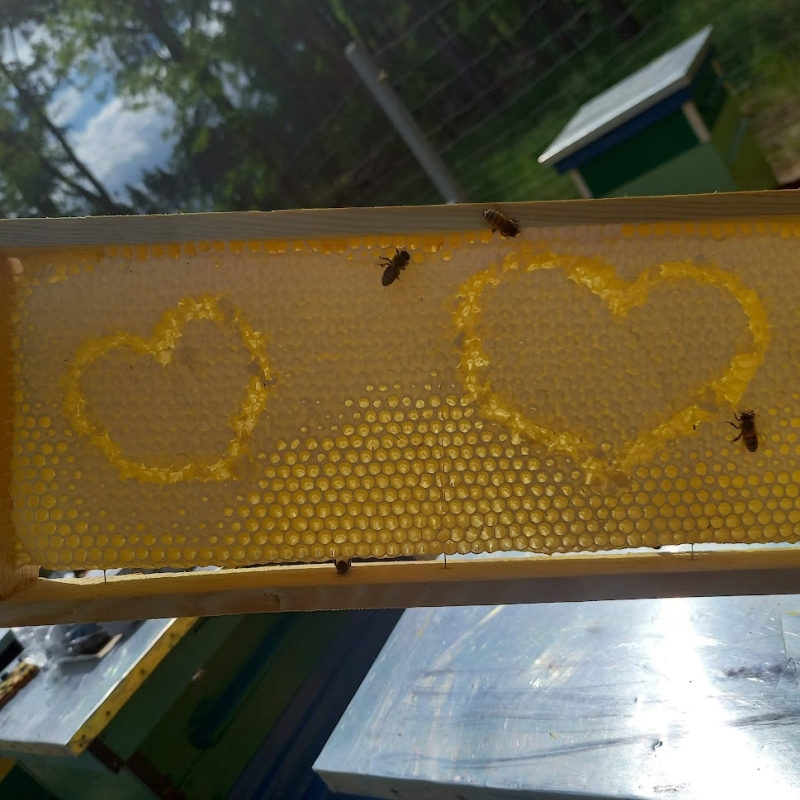 Pasieka DaCo, powiat zielonogórski