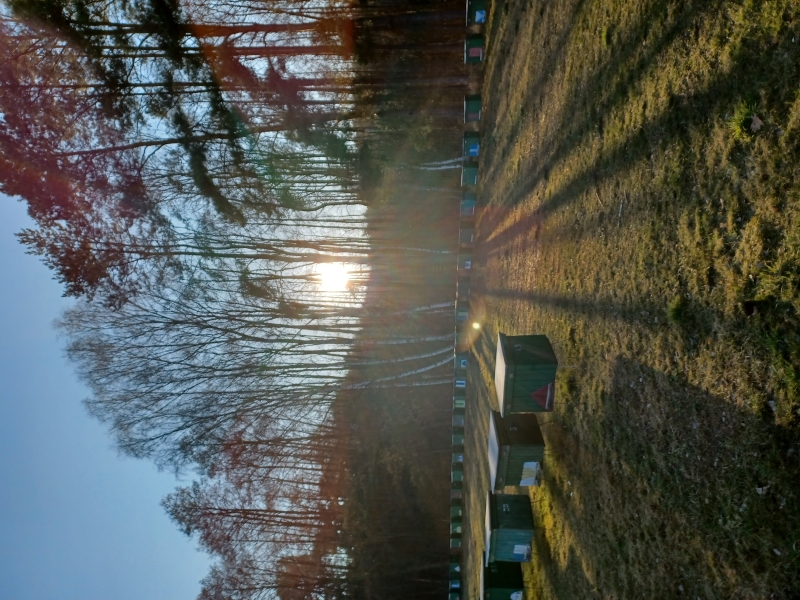 Pasieka DBA, powiat słubicki