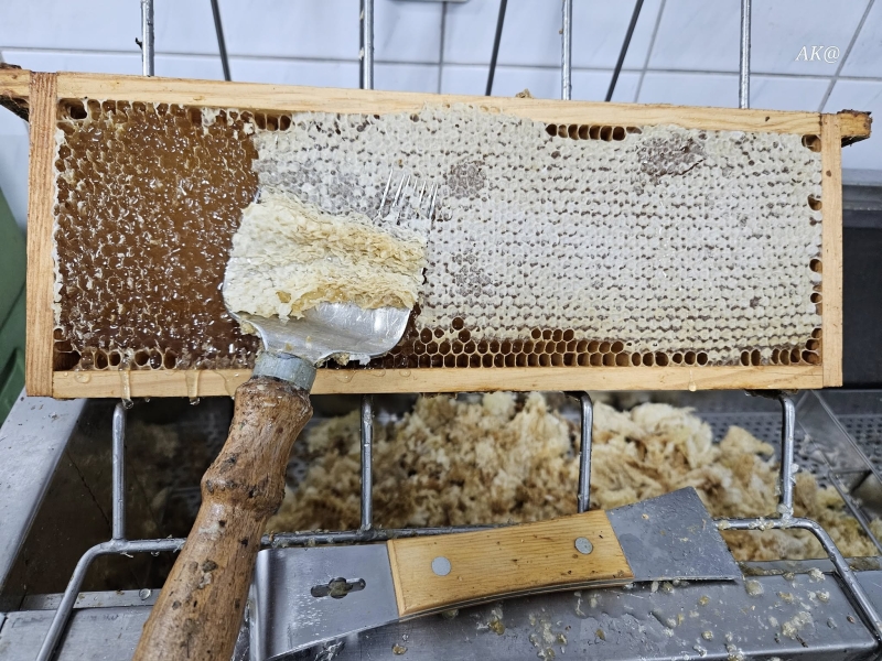 Pasieka Klenica - Pasieka "KUBA" i "PATRYK", powiat zielonogórski