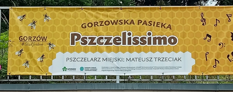 Pasieka MIODEX Mateusz Trzeciak, powiat gorzowski