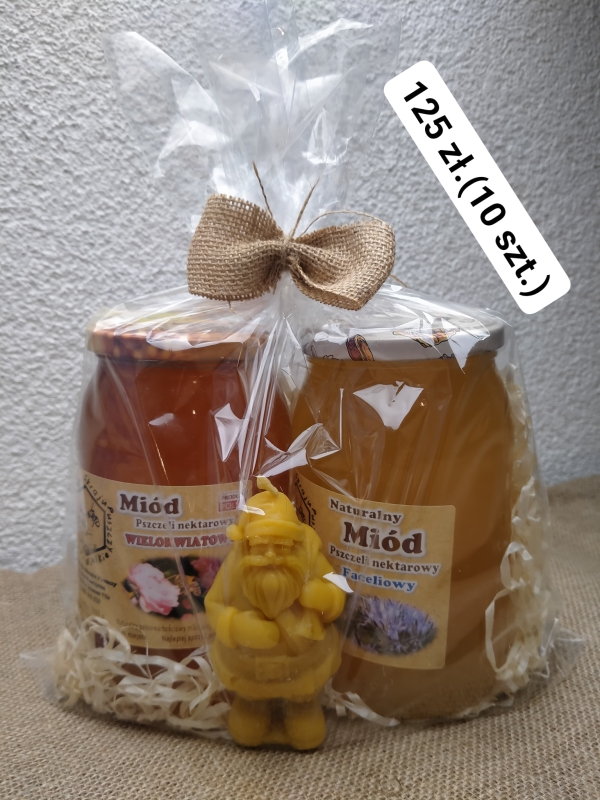 Pasieka Na Skraju Puszczy, powiat gorzowski