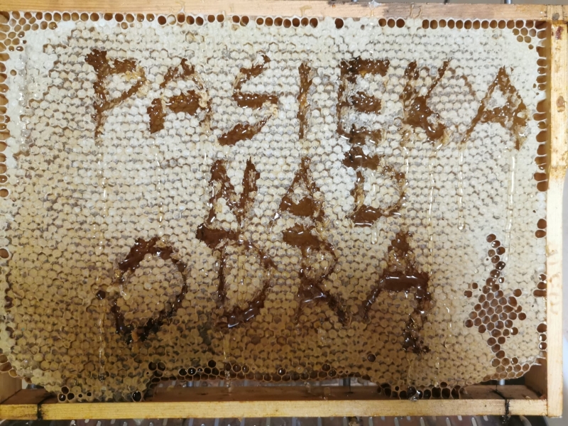 Pasieka nad Odrą, powiat krośnieński