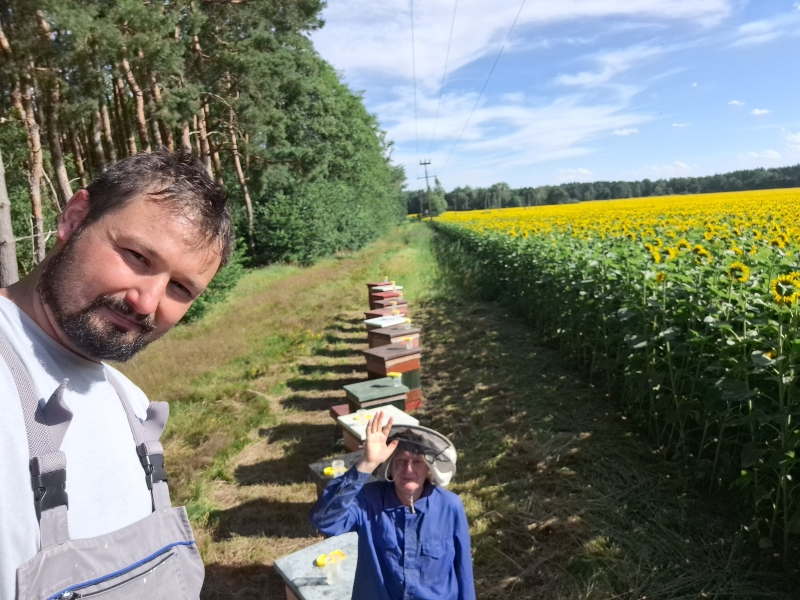 Pasieka Waligórscy, powiat nowosolski