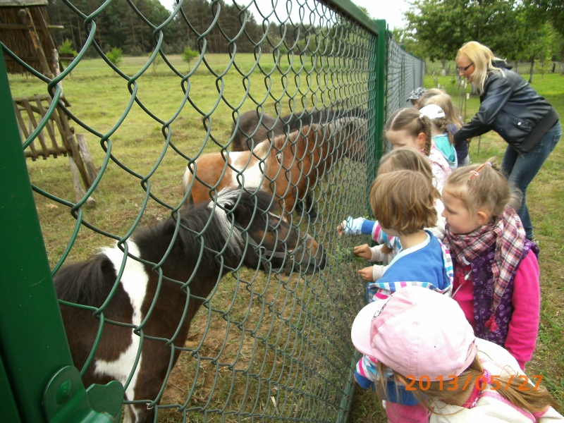 Poznajmy lubuskie Zagrody Edukacyjne- Koziołek Suchodołek w nowej zagrodzie