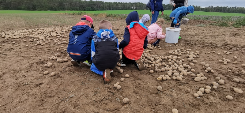 Poznajmy lubuskie Zagrody Edukacyjne- Lawendowe Dusze