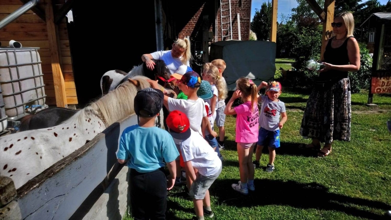 Poznajmy lubuskie Zagrody Edukacyjne- Ranczo Maja