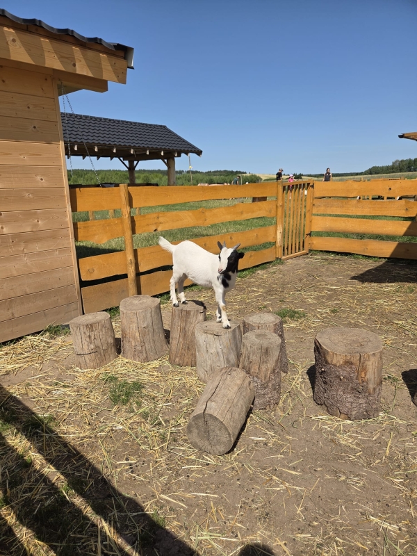 Poznajmy lubuskie Zagrody Edukacyjne- Stołuńska Zagroda
