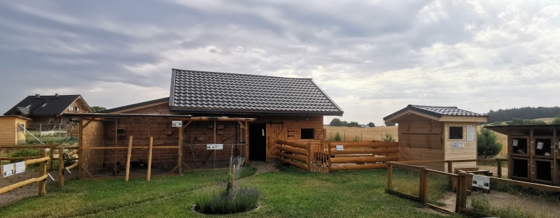 Poznajmy lubuskie Zagrody Edukacyjne- Stołuńska Zagroda