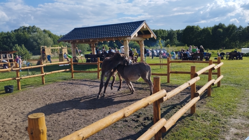 Poznajmy lubuskie Zagrody Edukacyjne- Stołuńska Zagroda