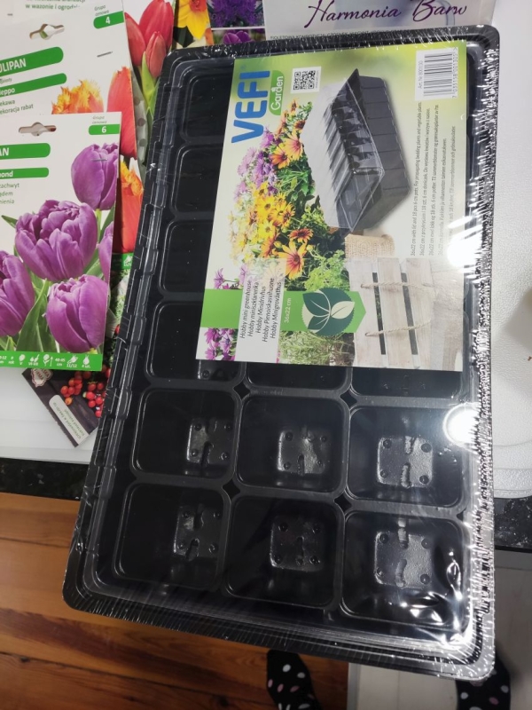 Sadzonki kwiatów w Nowym Żabnie 