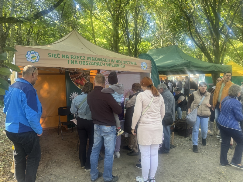 Stoiska informacyjno-promocyjne PS WPR 2023-2027 - Targi Rolnicze wrzesień 2025 r.