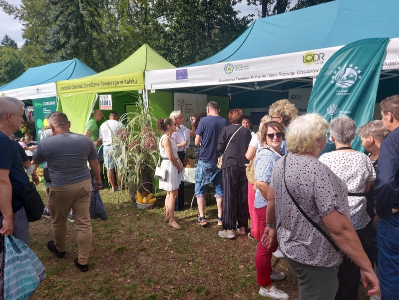 Stoiska informacyjno-promocyjne PS WPR 2023-2027 - Targi Rolnicze wrzesień 2025 r.