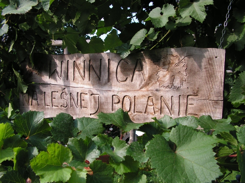 Winnica NA LEŚNEJ POLANIE