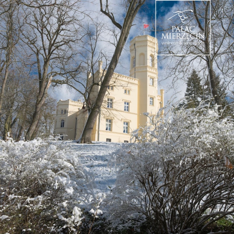 Winnica PAŁAC MIERZĘCIN