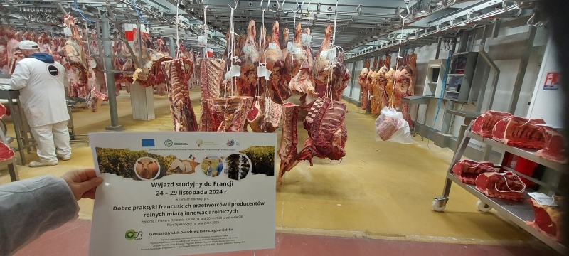 Marche International de Rungis