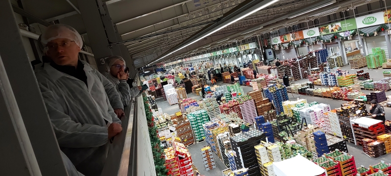 Marche International de Rungis