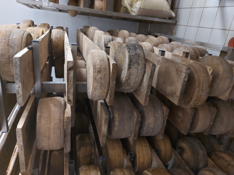 Wyjazd studyjny do Włoch 28.09-03.10.2025 r.