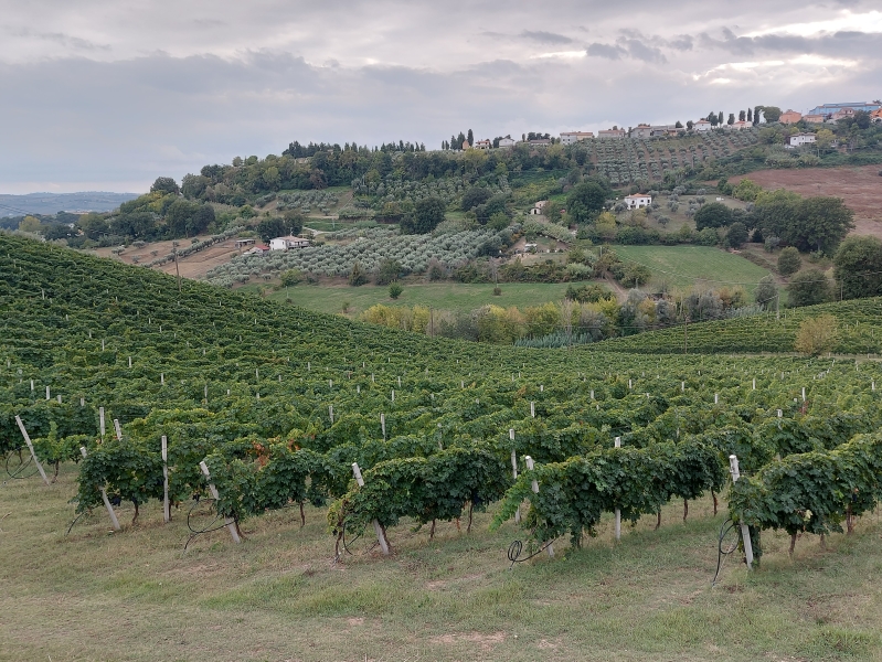 Wyjazd studyjny do Włoch 28.09-03.10.2025 r.