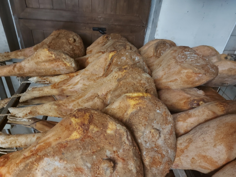 Wyjazd studyjny do Włoch 28.09-03.10.2025 r.