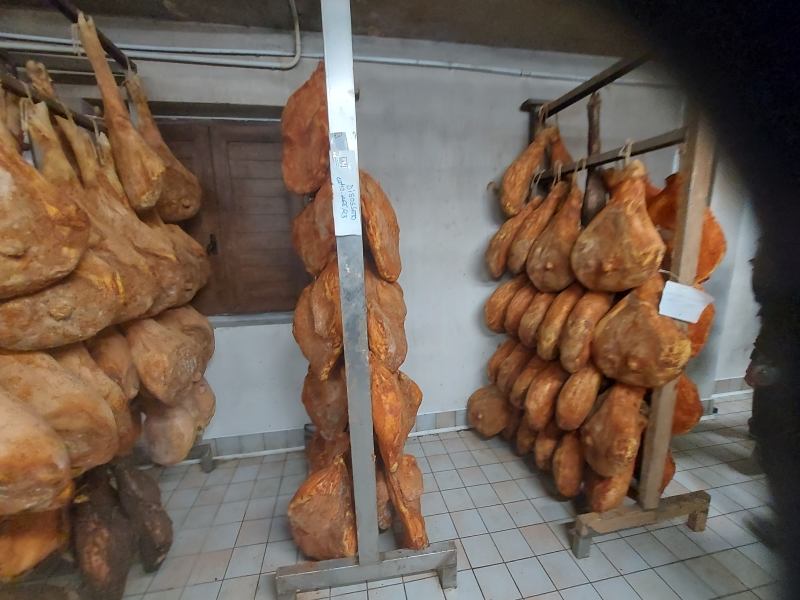 Wyjazd studyjny do Włoch 28.09-03.10.2025 r.