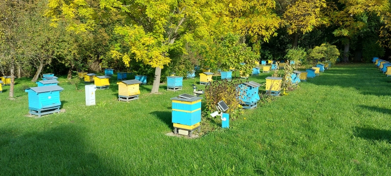 Innowacyjne rozwiązania wspierające rozwój gospodarki pasiecznej. Wykorzystanie i przetwórstwo produktów pszczelich -  24 -27.10.2023 r.