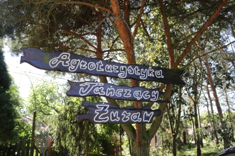 Zielone gospodarstwa opiekuńcze - zupełnie nowa inicjatywa w Lubuskiem. Jordanowo otwarcie gospodarstwa opiekuńczego