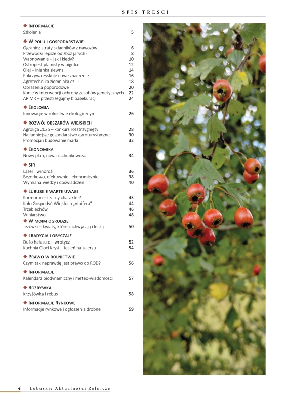 Lubuskie Aktualności Rolnicze - październik 2025