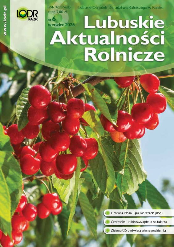 Lubuskie Aktualności Rolnicze - czerwiec 2026