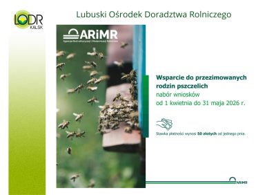 1 kwietnia rusza nabór na dofinansowanie do przezimowanych rodzin pszczelich