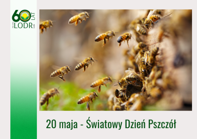 20 maja - Światowy Dzień Pszczół